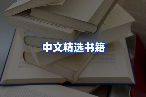 中文精选书籍